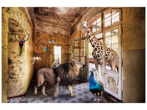 image LAND Digitaldruck auf Glas Dschungeltiere Suchen Ein Zuhause  | Schubiger Möbel