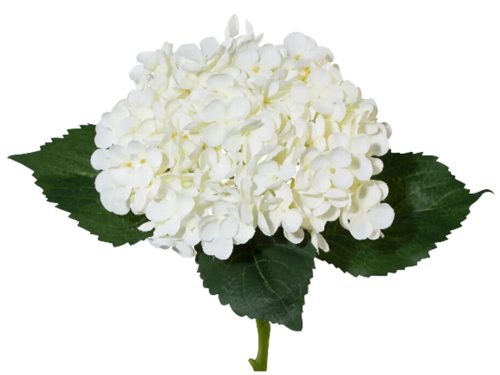 undefined, Kunstpflanze Hortensie
