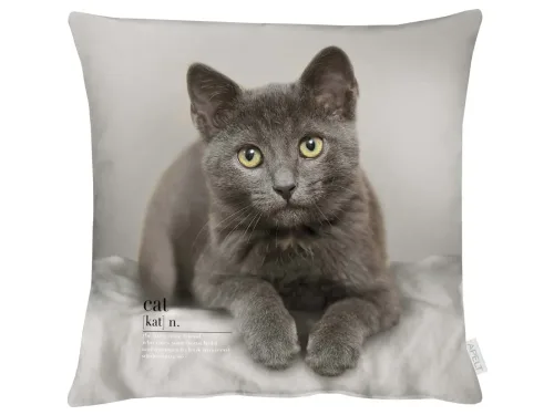 Apelt, Apelt Kissenhülle Katze Grau 45x45 cm  | Schubiger Möbel