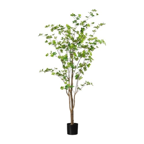 Gasper Kunstpflanze Louisiana-Baum im Kunststofftopf, Grün H: 180 cm  | Schubiger Möbel