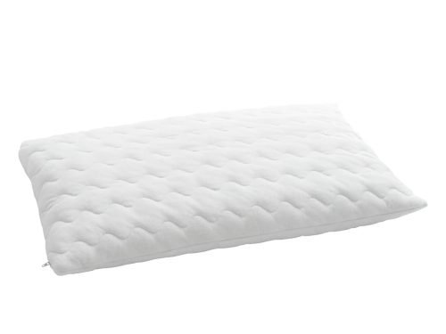 Billerbeck, billerbeck Hirsekissen 40 x 60 cm