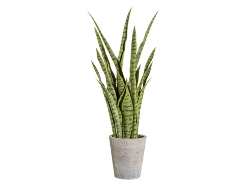 Gasper, Gasper Kunstpflanze Sanservieria Grün  | Schubiger Möbel