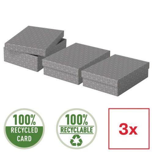 Esselte, ESSELTE Aufbewahrungsboxen Home M 628285 365x265x100mm, grau 3 Stk