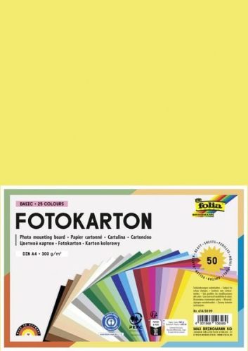 Folia, Folia Farbiges Papier Farbig Assortiert Fotokarton A4 614/50 99 50 Blatt