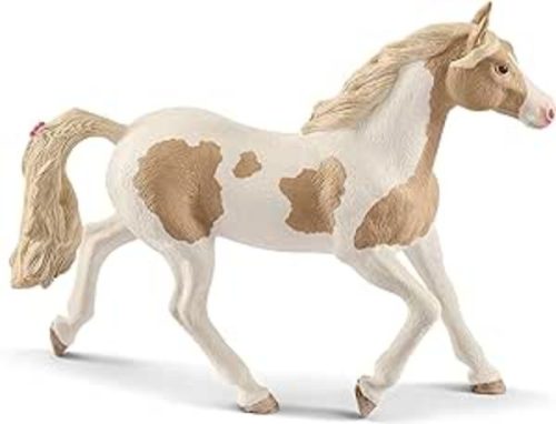 Iden, Ilja Maximilian, 13884 Paint Horse Stute
