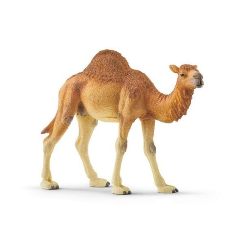 Schleich, Schleich - 14832 Dromedar, Multicolor