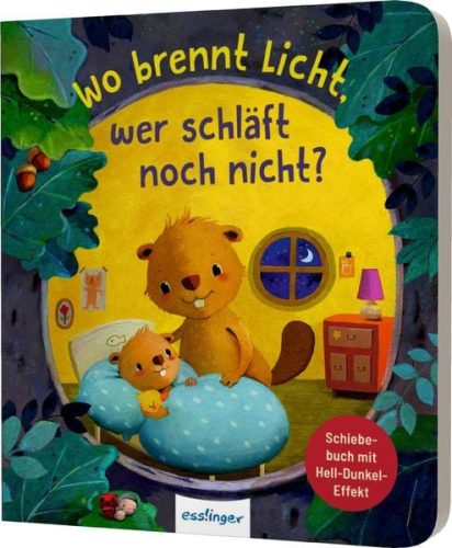 Thienemann, Thienemann - Wo brennt Licht