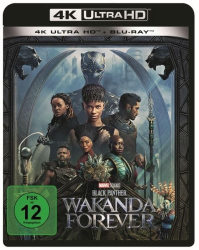 undefined, Black Panther: Wakanda Forever (DE)