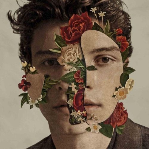 undefined, Shawn Mendes