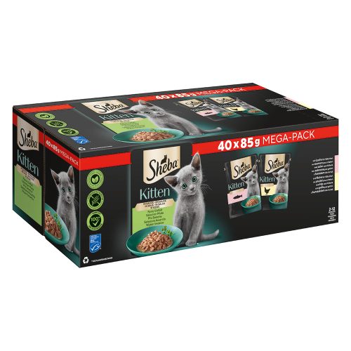 SHEBA, Sheba Multipack Mega-Pack Kitten in Sauce Feine Vielfalt mit Lachs, mit Huhn MSC 40x85 g