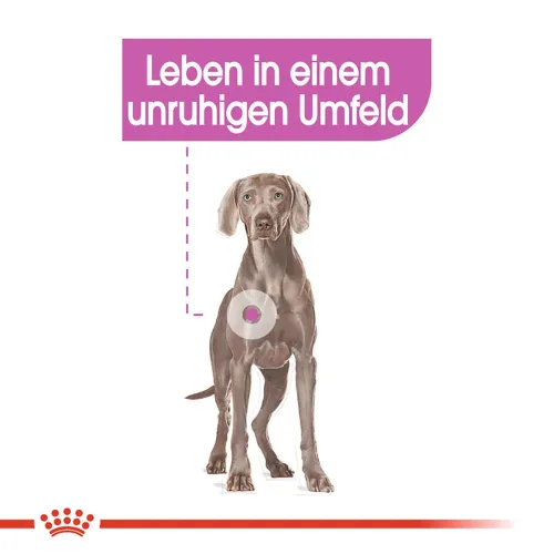 Royal Canin Relax Care Maxi - 9 kg