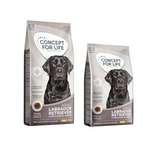 Concept for Life, Concept for Life Labrador Retriever Adult - NEU: Sparpaket 2 x 12 kg