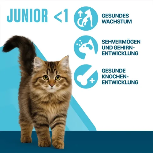 Perfect-Fit, PERFECT FIT Beutel Junior