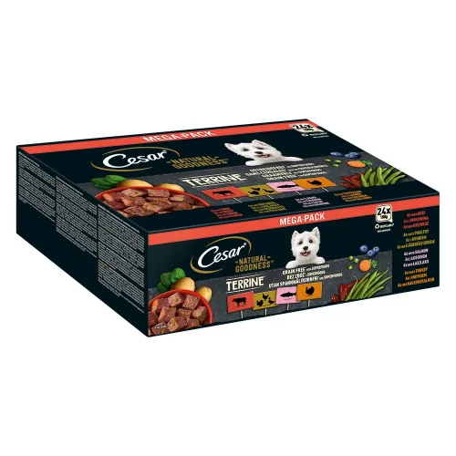 Cesar, Cesar NATURAL GOODNESS Mega-Pack Terrine 4 Varietäten 24 x 100g