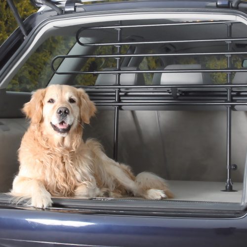Trixie, Trixie Auto-Gitter