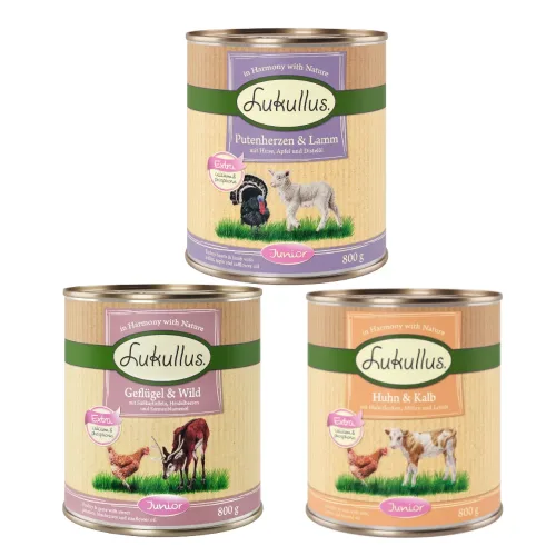 Sparpaket Lukullus Naturkost 24 x 800 g - Junior Mixpaket (3 Sorten)