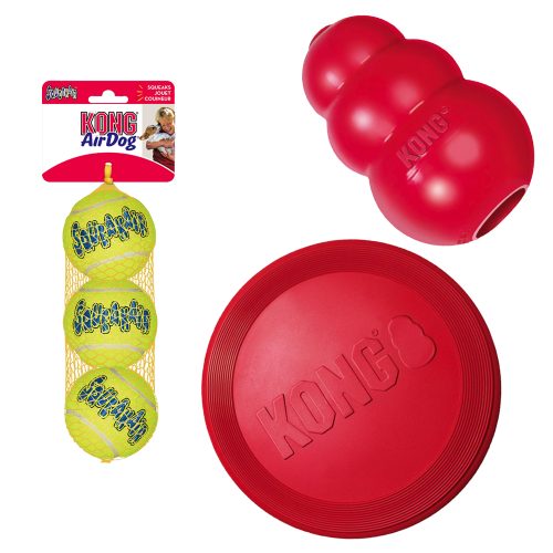 KONG, KONG Frisbee rot L
