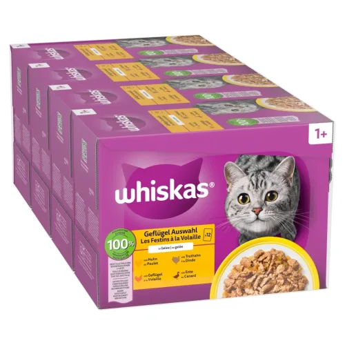 Jumbopack Whiskas 1+ Adult Frischebeutel 144 x 85 g - Geflügelauswahl in Gelee