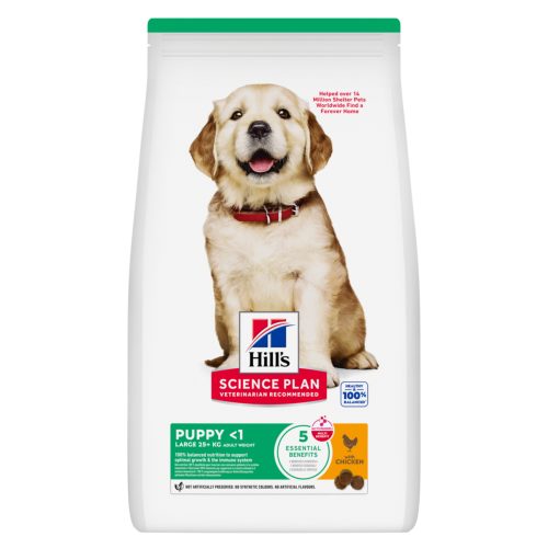 Hills, Hill's Science Plan Puppy Large Breed 16 kg