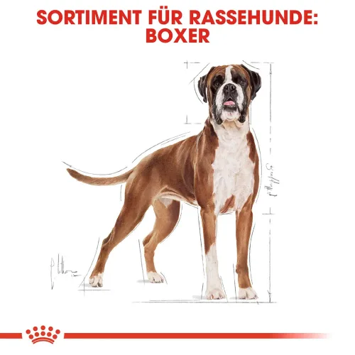 Royal Canin, ROYAL CANIN Boxer Adult 12 kg