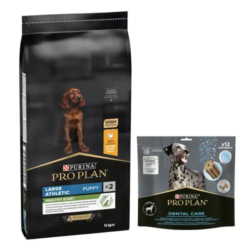 Pro Plan, PRO PLAN Puppy Large Athletic Healthy Start Huhn 12 kg