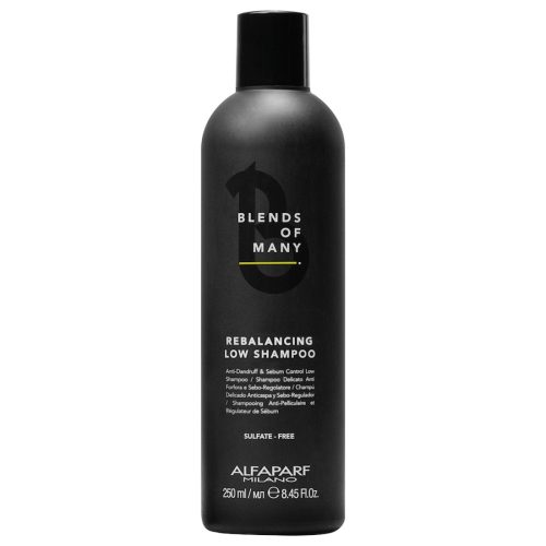 ALFAPARF MILANO Blends Of Many Rebalancing Low Shampoo 250 ml Herren