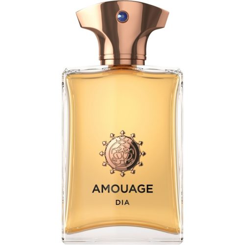 Amouage The Iconic Collection Dia Man Eau de Parfum 100 ml