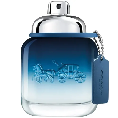 COACH Blue Man Eau de Toilette 40 ml Herren