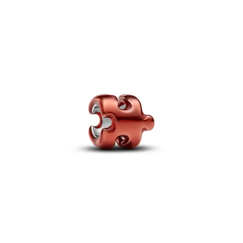 Pandora, Pandora Charm - Puzzle - 794816C02