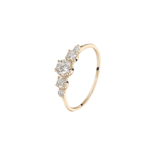 XENOX Ring - CROWN - XGLD2052G/54