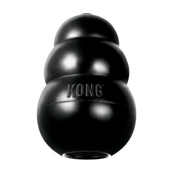 KONG Extreme L