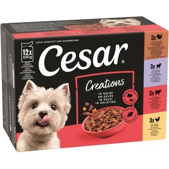 Cesar Creations Nassfutter Hund Adult 4 Variationen in Gelee 12x100g