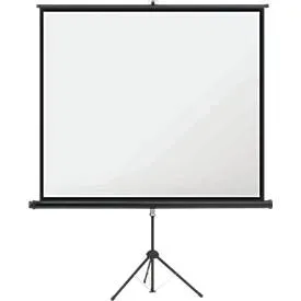 magnetoplan, magnetoplan 202501935 Stativleinwand 200 x 112.5 cm Bildformat: 16:9