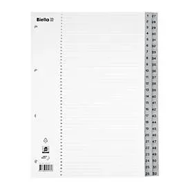 Biella, BIELLA Register PP grau A4 471452.00 1-52, Vollformat