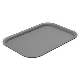 Rotho, Rotho Box Brisen Anthrazit | 4.5/7 l