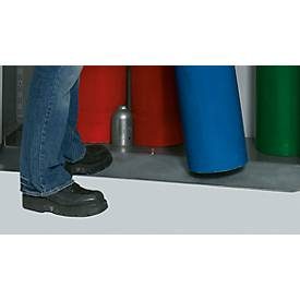 asecos®, Einrollklappe für asecos® Druckgasflaschen-Schrank, HxBxT 2.150 x 1.350 x 400 mm