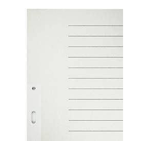 Leitz, Leitz Register 6096 A4 Für Leitz ALPHA Hängeregistraturen Grau 20-teilig 3-fach 100% Recycelter Kraft-Karton