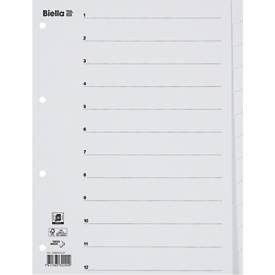 Biella, BIELLA Register Karton weiss A4 46541201 12-teilig, blanko
