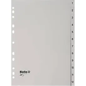 Biella, BIELLA Register PP grau A4 471412.00 12-teilig, Index, 4-Loch