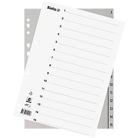 Biella, BIELLA Register PP grau A4 471415.00 1-15