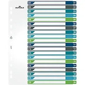 DURABLE, DURABLE Register A4+ 679727 mehrfarbig 1-20