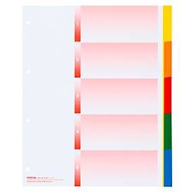 Kolma, KOLMA Register PP grau XL A4 18.407.20 5-teilig, multicolor
