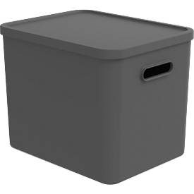Rotho, Rotho Multibox Albula Anthrazit | 37 x 29 x 30 cm | 27 l