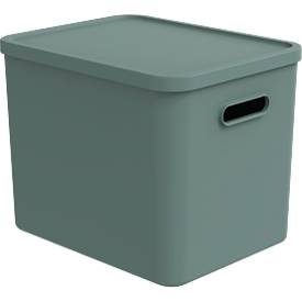 Rotho, Rotho MyPet Multibox C4 Albula - 27 l