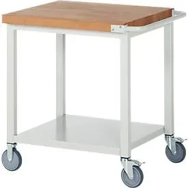 RAU, RAU mobile Werkbank Serie 8000, HxBxT 880 x 750 x 700 mm, Ablageboden unten