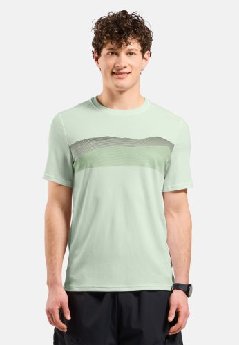 Odlo F-Dry Ridgeline T-Shirt für Herren - Wandern - grün, S