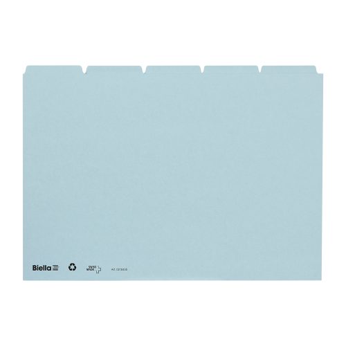 Biella, BIELLA Leitkarten blanko A4 21045505 blau