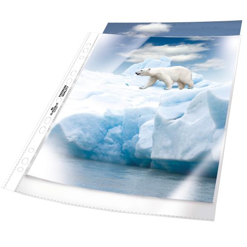 DURABLE Premium Prospekthüllen 268319 A4 PP (Polypropylen) 21 (B) x 0.016 (T) x 29.7 (H) cm Transparent 100 Stück