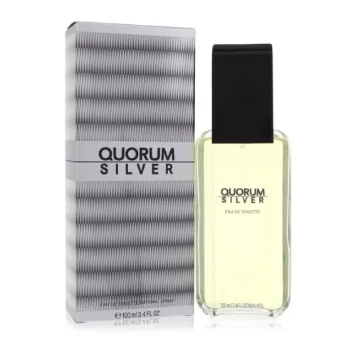 Puig, Quorum Silver by Puig Eau de Toilette Spray 100 ml