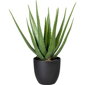 Gasper, Gasper Kunstpflanze Aloe im Kunstofftopf, Grün H: 55 cm  | Schubiger Möbel